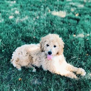 Meet your Posher, Meghan